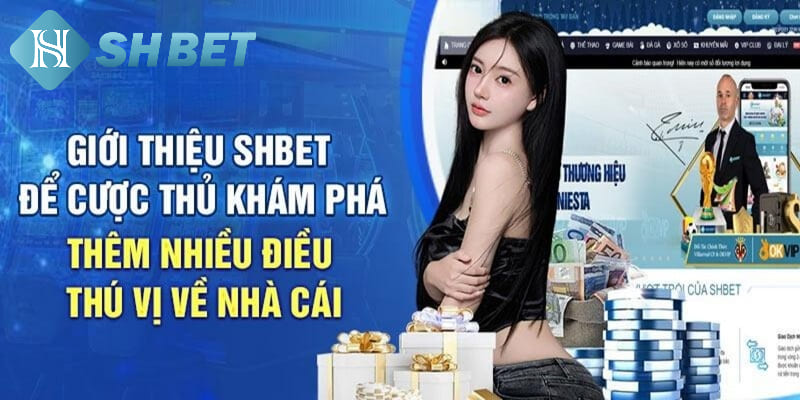 Giới thiệu về nhà cái SHBET - Đơn vị nổi tiếng nhất châu lục